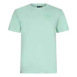 Rellix Oversized T-Shirt Rllx Fresh Mint
