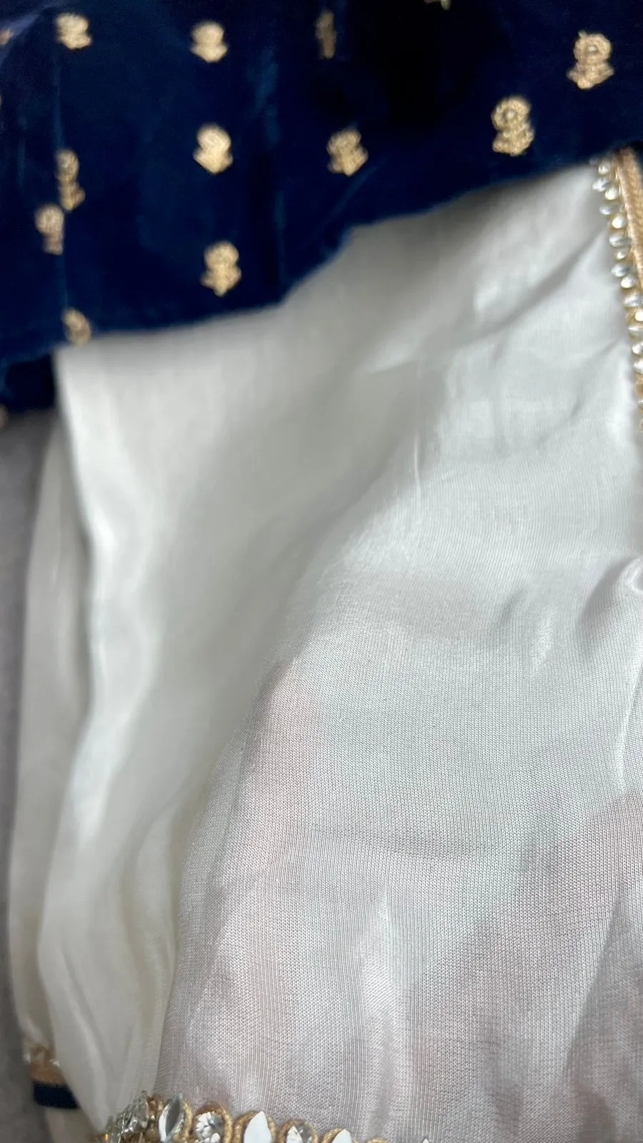 Silver tissue saree with velvet embroidery blouse